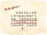 人教版 七下 第四单元第五章  人体内废物的排出  课件（33张PPT）