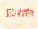 人教版 七下 第四单元第五章  人体内废物的排出  课件（33张PPT）