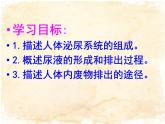 人教版 七下 第四单元第五章  人体内废物的排出  课件（33张PPT）