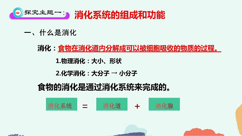 （人教七下）4.2.2 消化和吸收（第一课时）第3页