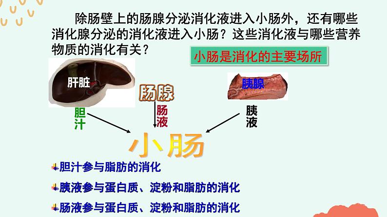 （人教七下）4.2.2 消化和吸收（第一课时）第7页