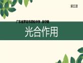 （北师大七上）3.5.1 光合作用 课件