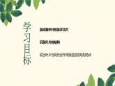 （北师大七上）3.5.1 光合作用 课件