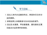 （北师大七下）4.12.3 激素调节 课件