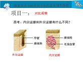 （北师大七下）4.12.3 激素调节 课件