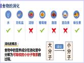（北师大七下）8.2食物的消化和营养物质的吸收 课件