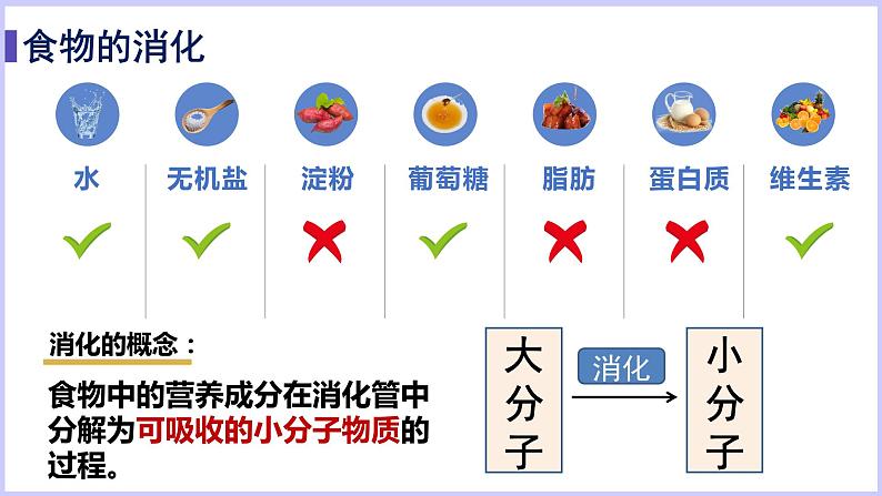 （北师大七下）8.2食物的消化和营养物质的吸收第4页