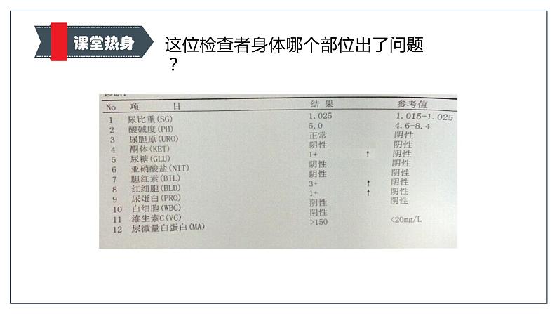 （北师大七下）4.11.2 尿的形成和排出 课件02