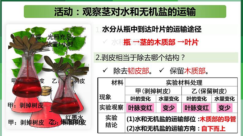 （北师大七上）3.5.5 运输作用 课件05