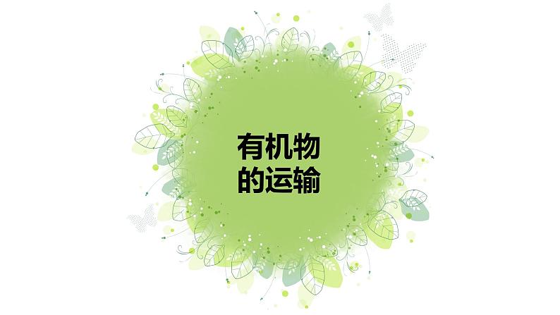 （北师大七上）3.5.5 运输作用 课件07