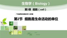 初中北师大版第2节 细胞是生命活动的单位背景图课件ppt_ppt00