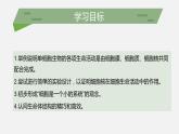 （北师大七上）2.3.2 细胞是生命活动的单位 课件
