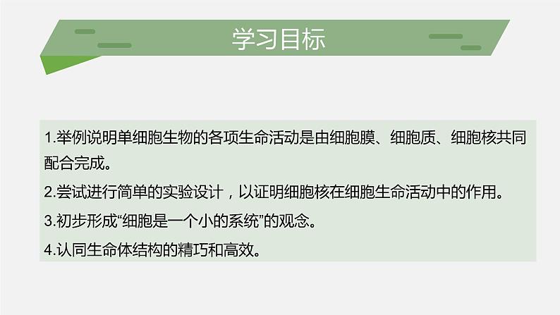 （北师大七上）2.3.2 细胞是生命活动的单位 课件02