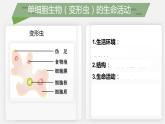 （北师大七上）2.3.2 细胞是生命活动的单位 课件