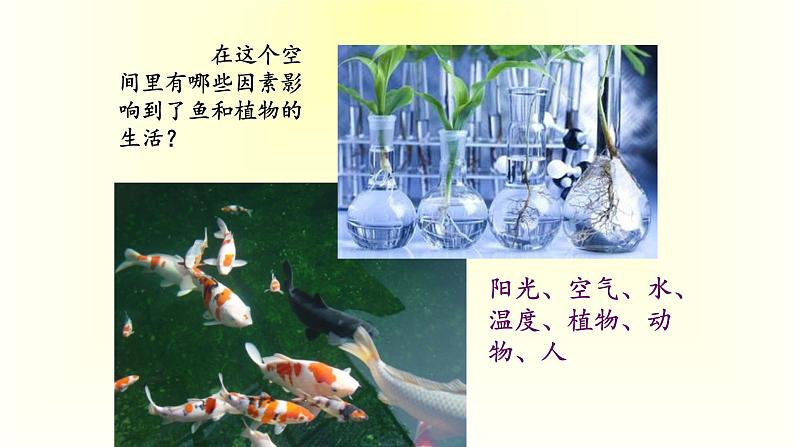 （北师大七上）1.2 生物与环境的相互影响第8页