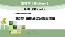 初中生物北师大版七年级下册第3节 细胞通过分裂而增殖教学演示ppt课件_ppt00