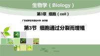 初中生物北师大版七年级下册第3节 细胞通过分裂而增殖教学演示ppt课件