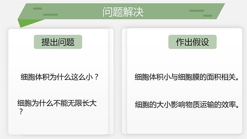 （北师大七上）2.3.3 细胞通过分裂而增殖 课件04