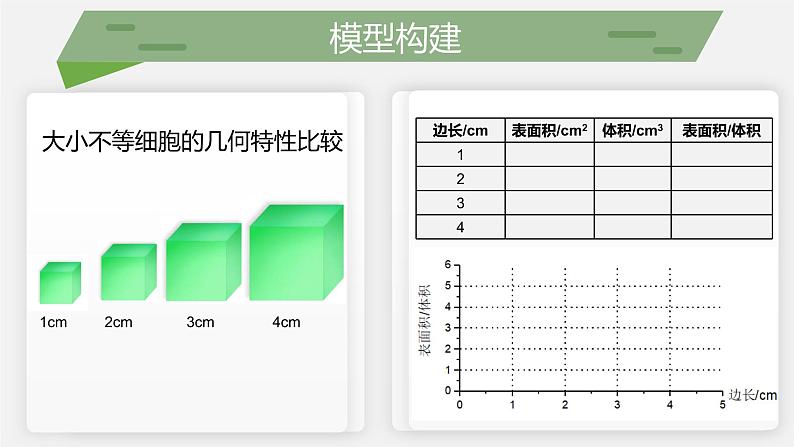 （北师大七上）2.3.3 细胞通过分裂而增殖 课件05