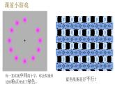 （北师大七下）12.2眼是感受外界光线的视觉器官 课件