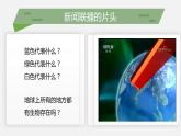 （北师大七上）1.1.1 形形色色的生物 课件