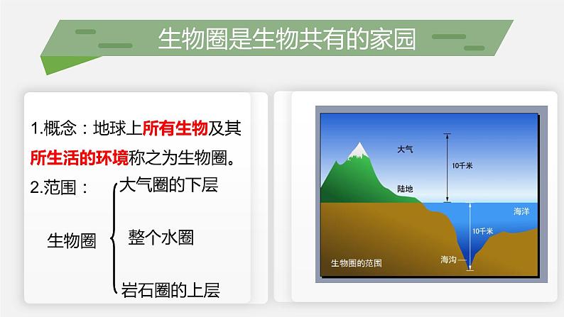 （北师大七上）1.1.1 形形色色的生物 课件04