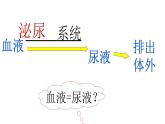（北师大七下）11.2 肾脏是泌尿系统重要器官（第1课时） 课件