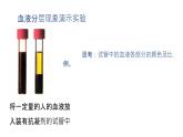 （北师大七下）4.9.1 血液 课件