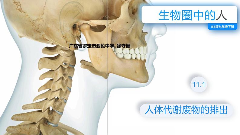 （北师大七下）4.11.1 人体产生的代谢废物 课件01