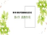 （北师大七上）3.5.4 蒸腾作用 课件