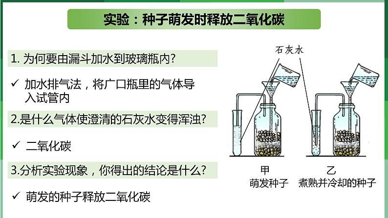 （北师大七上）3.5.2 呼吸作用 课件05