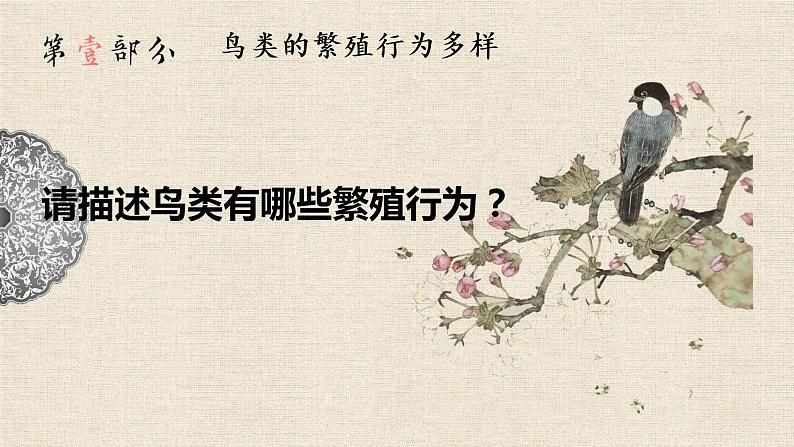 （北师大八上）6.19.2 动物的生殖与发育—鸟类生殖与发育第3页