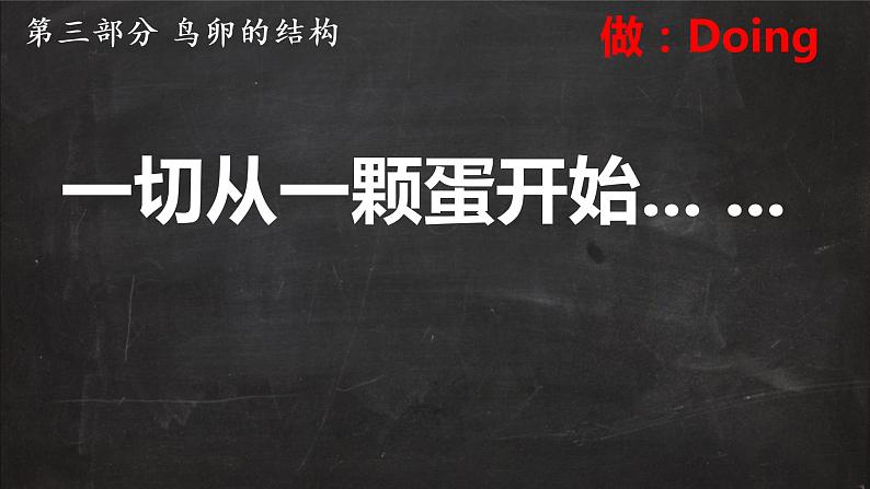 （北师大八上）6.19.2 动物的生殖与发育—鸟类生殖与发育第8页