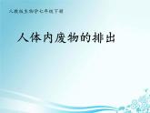 人教版 七下 第四单元第五章  人体内废物的排出  课件（24张PPT）