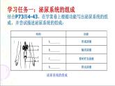 人教版 七下 第四单元第五章  人体内废物的排出  课件（24张PPT）