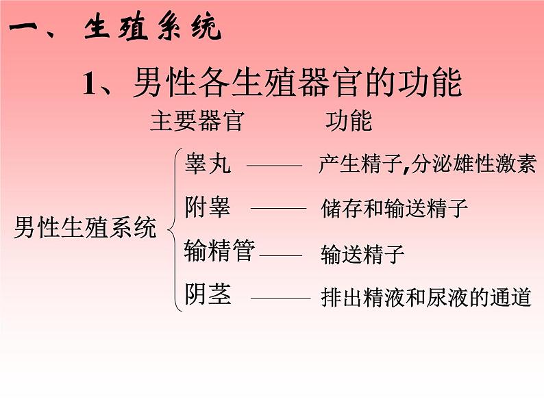 人教版 七下 第一章 第2节 人的生殖 课件（19张PPT）第5页