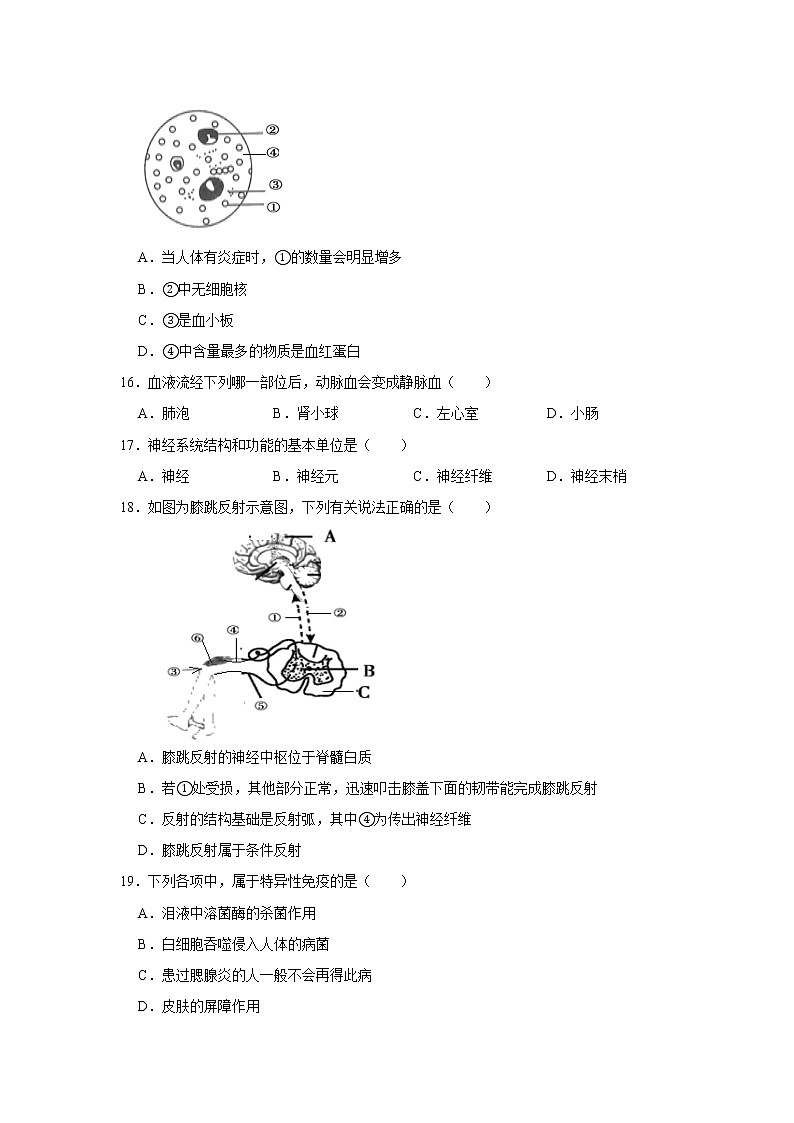 四川省广安市2020年中考生物试卷[原卷版＋解析版]03