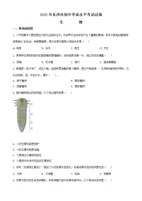 湖南省长沙市2020年中考生物试题（原卷版＋解析版）