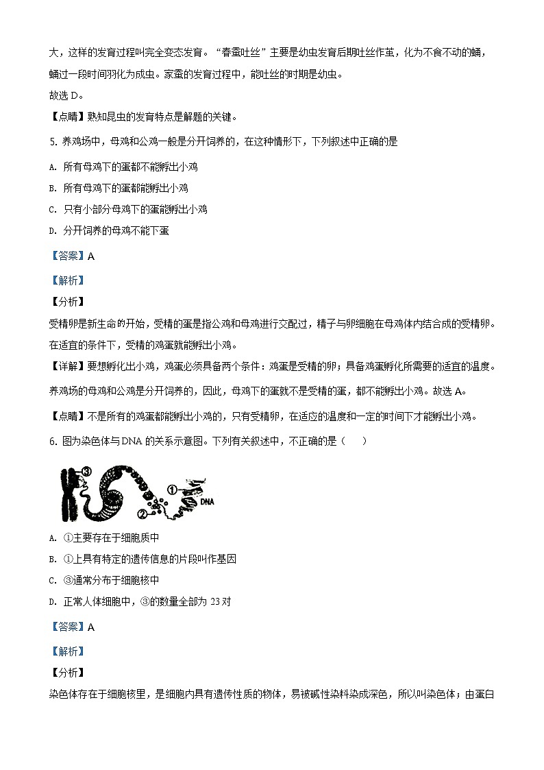 辽宁省铁岭市2020年中考生物试题（原卷版＋解析版）03