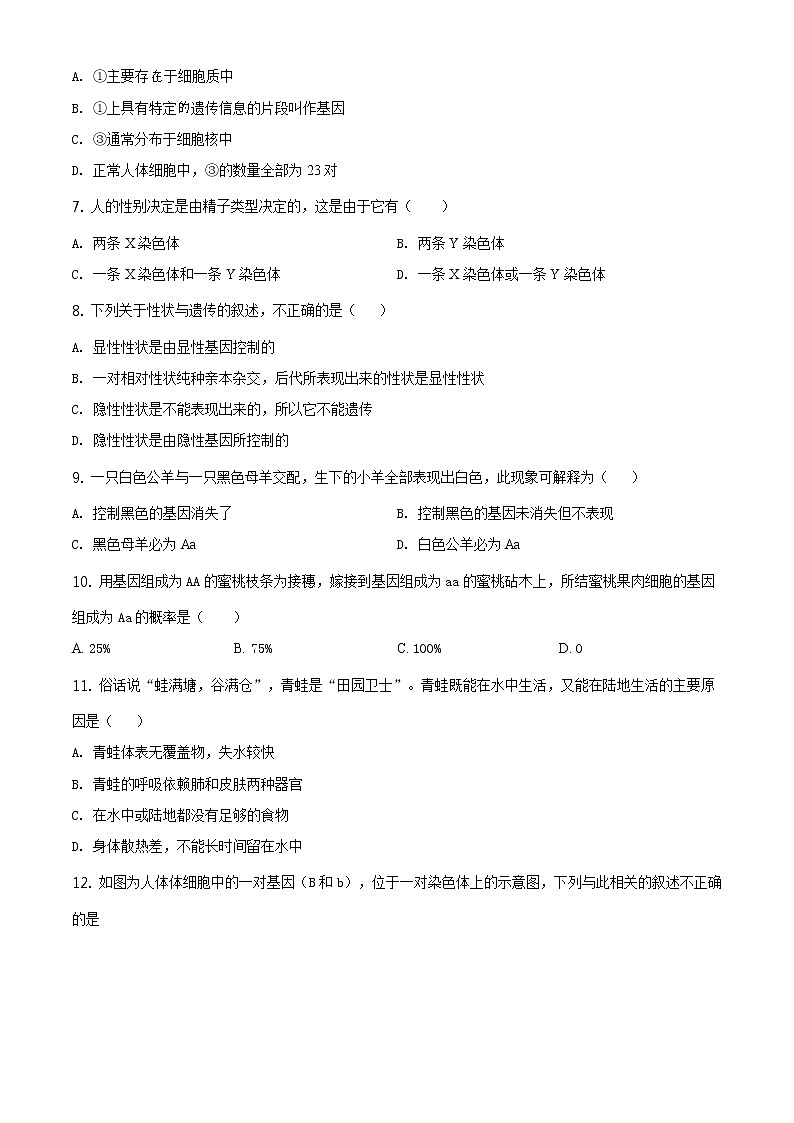 辽宁省铁岭市2020年中考生物试题（原卷版＋解析版）02