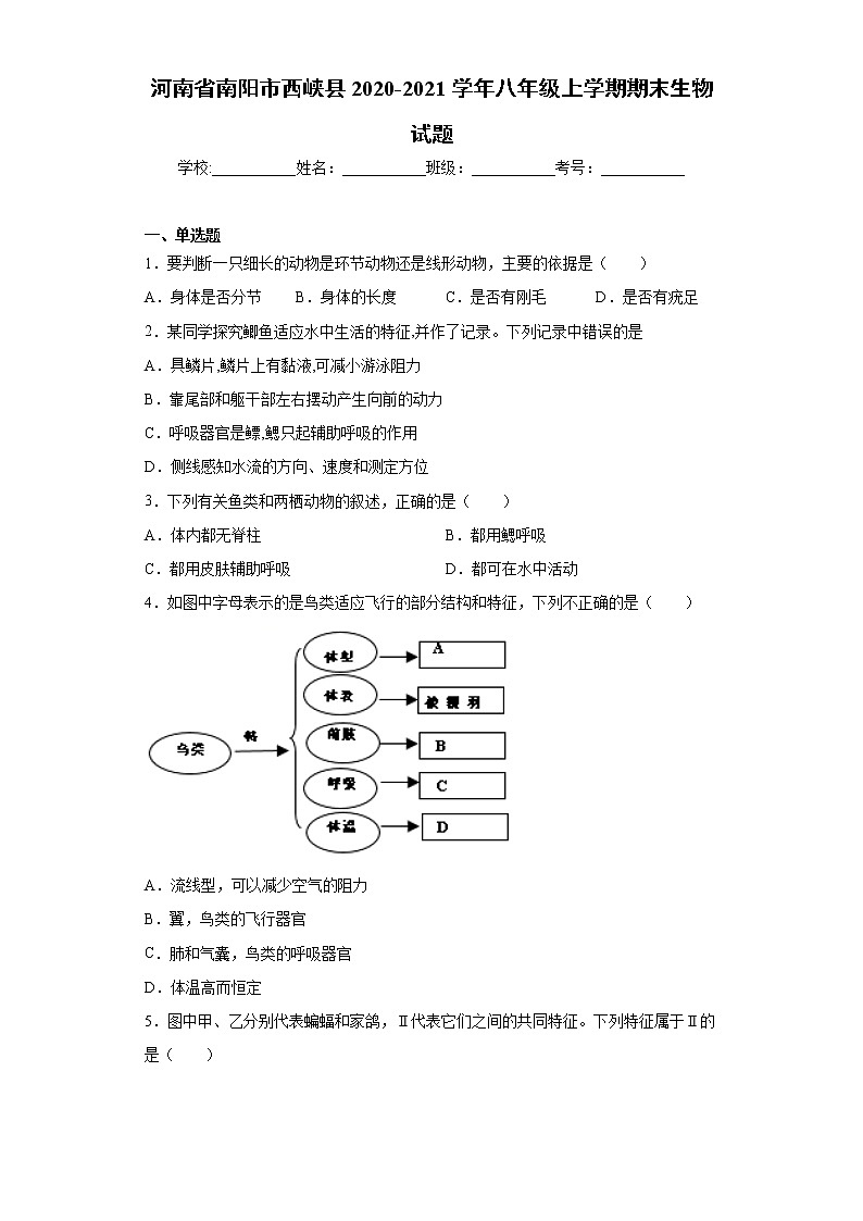 河南省南阳市西峡县2020-2021学年八年级上学期期末生物试题（word版 含答案）01