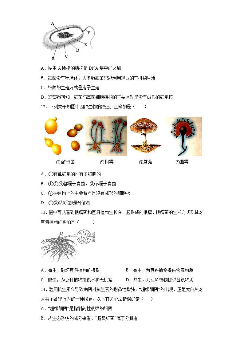 河南省南阳市西峡县2020-2021学年八年级上学期期末生物试题（word版 含答案）03