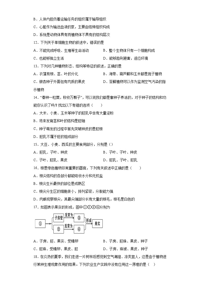 四川省眉山市青神县2020-2021学年七年级上学期期末生物试题（word版 含答案）03