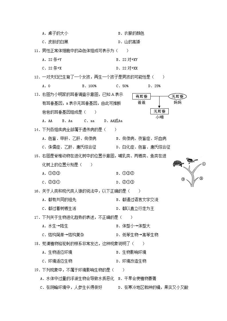 福建省莆田第七中学2020-2021学年八年级下学期第一次月考生物试题02