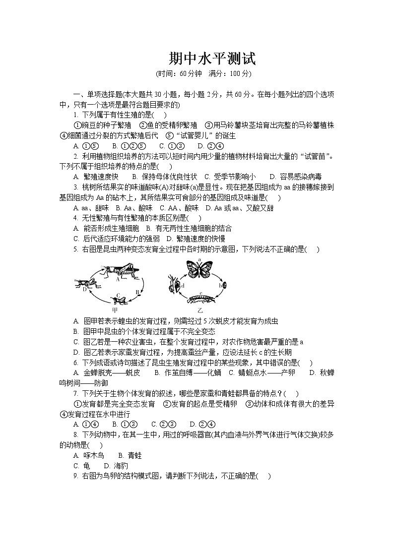 期中水平测试2 2020-2021学年八年级下学期生物期中考试试题（人教版）01