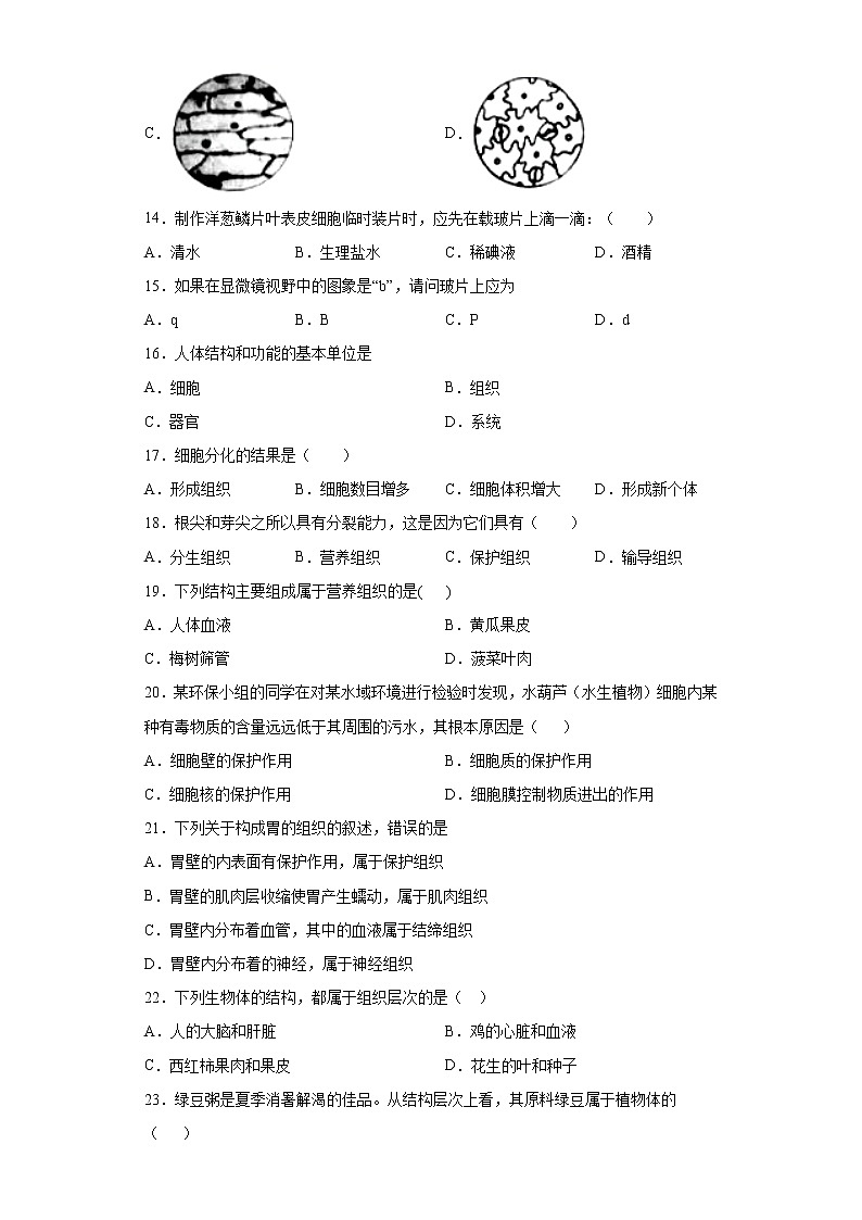 福建省龙岩市新罗区2020-2021学年七年级上学期期中生物试题（word版 含答案）03