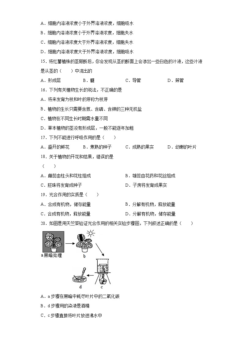 湖南省永州市祁阳县2020-2021学年七年级上学期期末生物试题（word版 含答案）03