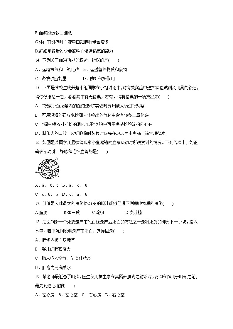 2020-2021学年人教版七年级生物下册  期中复习训练卷（word版 含答案）03