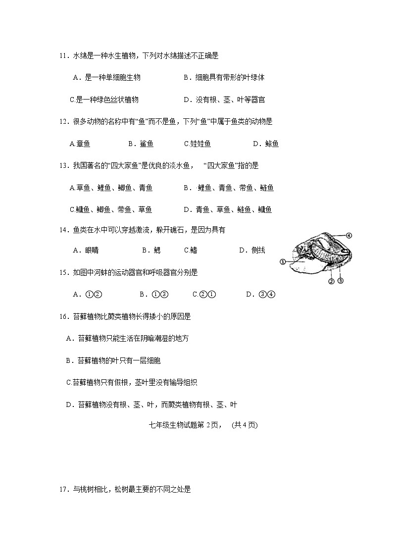 江苏省徐州市2020--2021学年度第二学期期中考试 七年级生物试题（word版含答案）03