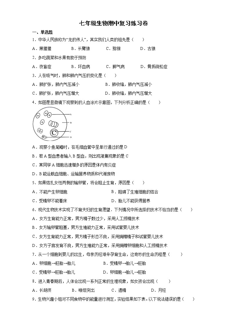 2020-2021学年人教版七年级生物下册期中复习练习题（word版 含答案）01